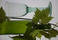 Wine glas and bottle Royalty Free Stock Photo