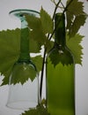 Wine glas and bottle Royalty Free Stock Photo