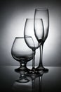 Wine glass