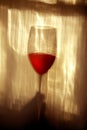 Wine glass Royalty Free Stock Photo