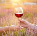 Wine glass against lavender landscape in sunset rays.