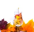 Wine glass with autumn leaves on white background