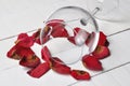 Wine glass and beautiful red rose isolated on white background. petals rose.Copy space Royalty Free Stock Photo