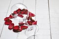 Wine glass and beautiful red rose  on white background. petals rose.Copy space Royalty Free Stock Photo