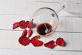 Wine glass and beautiful red rose isolated on white background. petals rose.Copy space Royalty Free Stock Photo