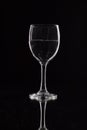 Wine glass on a black background with contour lighting. Studio shot