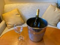 Wine glass and bucket of ice down wine Royalty Free Stock Photo