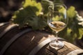 Wine Glass with Chardonnay Grapevine tasting in vineyard.