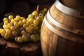 Vine Winemaking in Winery Barrel room. Wines Barrels In Winery Cellar.