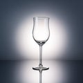 Wine glass Royalty Free Stock Photo