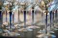 Wine Glass at the exhibition on the table. wedding decor