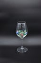Wine glass filled with colored glass marbles Royalty Free Stock Photo