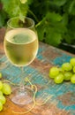 Wine glass with ice cold white wine, outdoor terrace, wine tasting in sunny day, green vineyard garden background. Royalty Free Stock Photo