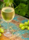 Wine glass with ice cold white wine, outdoor terrace, wine tasting in sunny day, green vineyard garden background. Royalty Free Stock Photo