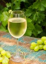 Wine glass with ice cold white wine, outdoor terrace, wine tasting in sunny day, green vineyard garden background. Royalty Free Stock Photo