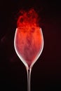 Wine Glass Royalty Free Stock Photo