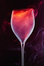 Wine Glass Royalty Free Stock Photo