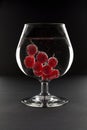 Wine glass with sparkling water and red currant Royalty Free Stock Photo