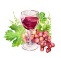 Wine glass with vine leaves, grape berries. Watercolor