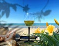 Wine glass and women hat on wooden bench on beach blue sky white sand yellow flowers  shadow green sea water summer holiday Royalty Free Stock Photo