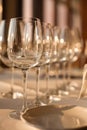 Wine glasses Royalty Free Stock Photo