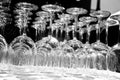 Wine Glasses Royalty Free Stock Photo