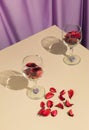 Wine glasses filled with red decoration on table. Purple silk curtain background. Royalty Free Stock Photo