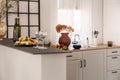 Wine, glasses and fruits on marble kitchen counter in elegant interior with white cupboards