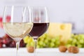 Wine glasses glass white red grapes copyspace Royalty Free Stock Photo