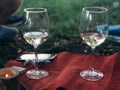 Wine glasses and hamper picnic scene outdoor. Royalty Free Stock Photo