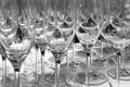 Wine glasses. Horizontal photo of aligned empty wine glasses, close up, black and white. Selective focus