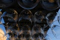 Wine glasses stacked on black metal hanging bar glass racks in a bar