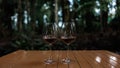 Wine glasses on the table in camping nature at twilight. by the stream Royalty Free Stock Photo