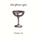 Wine glasses types collection, Champagne Coup. Ink black and white doodle drawing