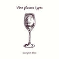 Wine glasses types collection, Sauvignon Blanc. Ink black and white drawing in woodcut style