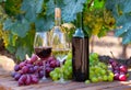 Wine and grape bunches on wooden table in vineyard Royalty Free Stock Photo