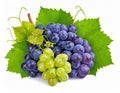 Wine Grape Clusters with Leaves & Sprouts Decorative Vineyard Fruit Isolated on Whit generative ai Royalty Free Stock Photo