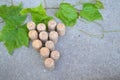 Wine grape of corks with green vine leaves on stone background with copy space Royalty Free Stock Photo