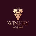 Wine Grape Logo Red And White Luxury Wine Winery Royalty Free Stock Photo