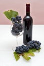 Wine and grapes Royalty Free Stock Photo