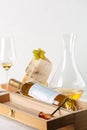 Wine, grapes, cheese and nuts. White wine Royalty Free Stock Photo