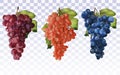 Wine grapes. Collection three grapes red, dark blue with green leaf. Healthy fruits. Table grapes. Icon set. 3D Royalty Free Stock Photo
