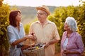 Wine and grapes. Harvesting grapes. Wine and grapes. Harvesting grapes. Family in vineyard before harvesting