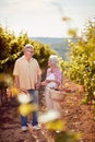 Wine and grapes. Harvesting grapes. Smiling couple in vineyard celebrating harvesting grapes