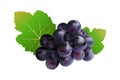Grapes isolated on white background. Royalty Free Stock Photo
