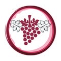 Wine grapes isolated icon