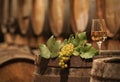 Wine Grapes in a Wine Cellar