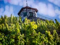 Wine growers field house next to field of grape vines in Bernkastel,