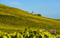 Wine-growing area La CÃÂ´te, Vaud, Switzerland