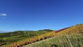 Wine growing area and natural landscapes with colorful vines in autumn around Stuttgart in Baden Wuerttemberg